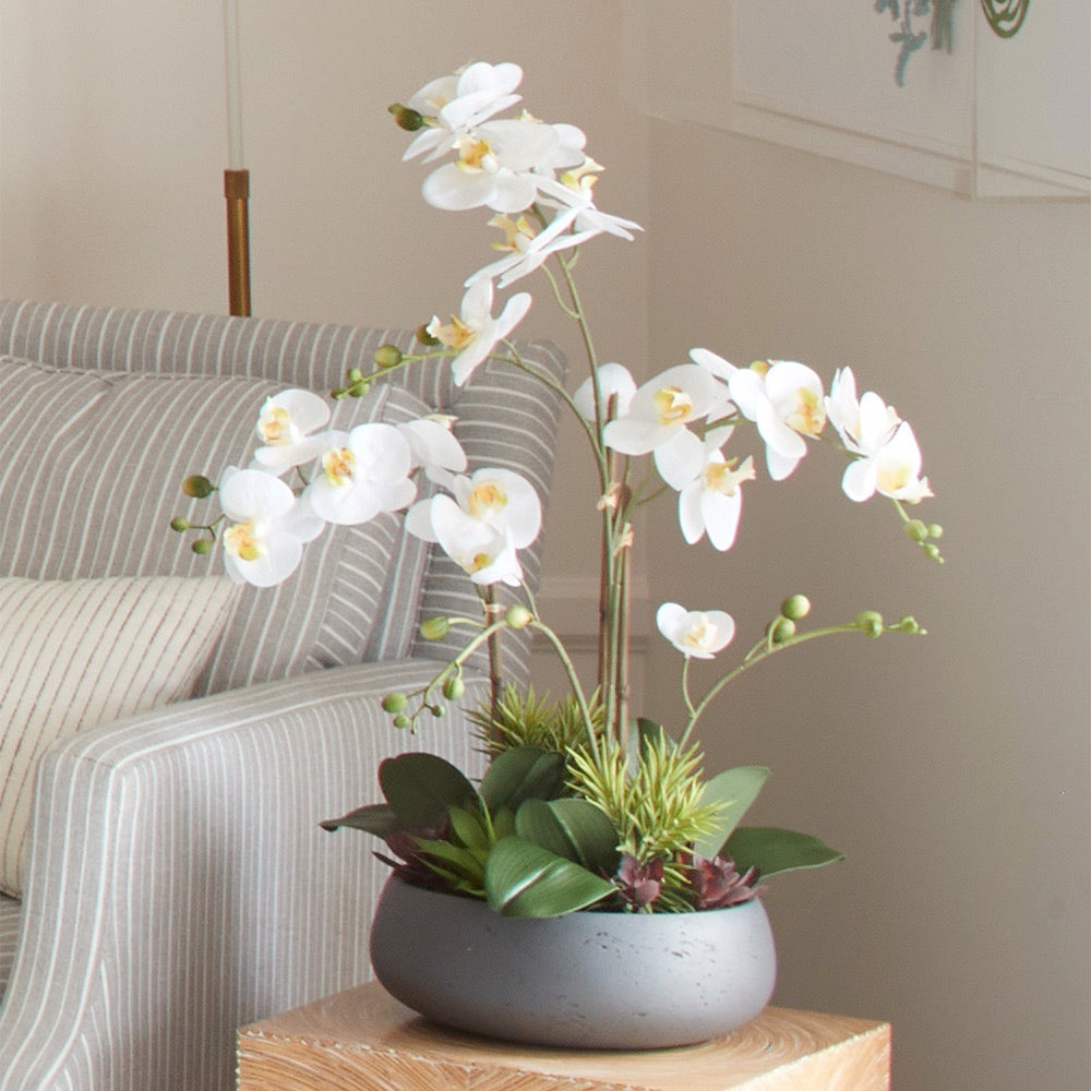 Our large 3 Stem with a multitude of blooms, our Faux Orchid with Succulents adds beauty to any room