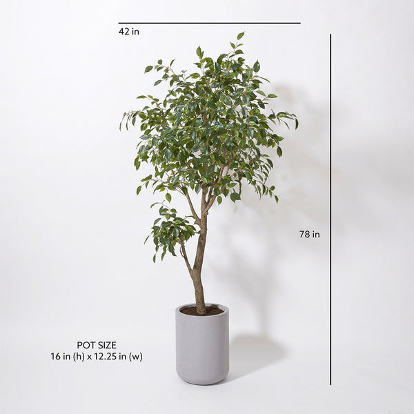 Faux Ficus Tree Sizing