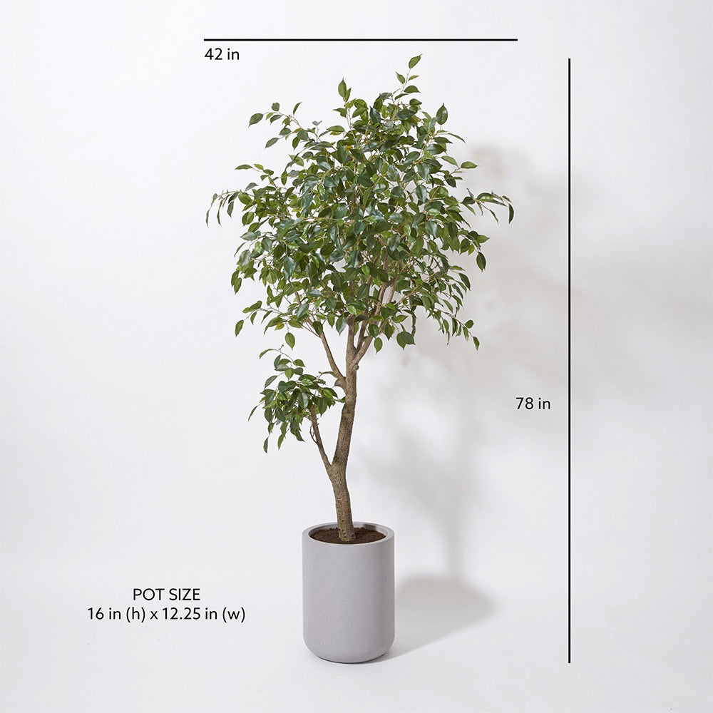 ficus plant pot size Faux Ficus Tree with Artisan Planter, 6.5 ft