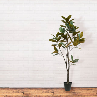 7' Artificial Magnolia Tree by CG Hunter in a modern black pot, bringing timeless luxury to home decor amidst a minimalist white brick wall.