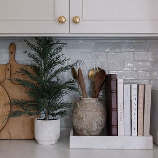 Chic kitchen display with a CG Hunter cedar tree in a textured pot, surrounded by cooking utensils and stylish books for a sophisticated touch.