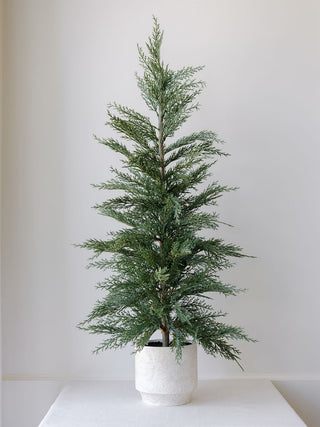 Single 24" Artificial Evergreen Cedar Tree by CG Hunter in a chic cream pot, perfect for enhancing interiors with natural beauty.