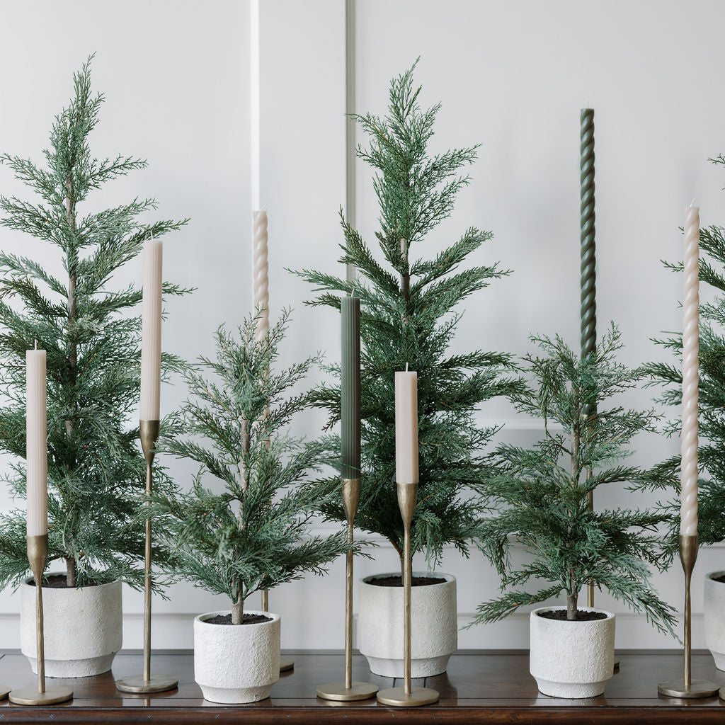planting cedar trees in pots 3' Cedar Tree – Lifelike Evergreen Accent – CG Hunter