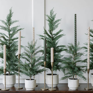Sophisticated arrangement of multiple 24" Artificial Evergreen Cedar Trees by CG Hunter with elegant candles, enhancing luxurious home decor.