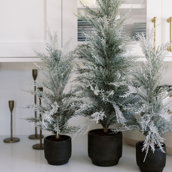 Stylish kitchen setting with CG Hunter 2' Flocked Cedar Tree, complemented by stylish decor elements, exuding modern holiday elegance.