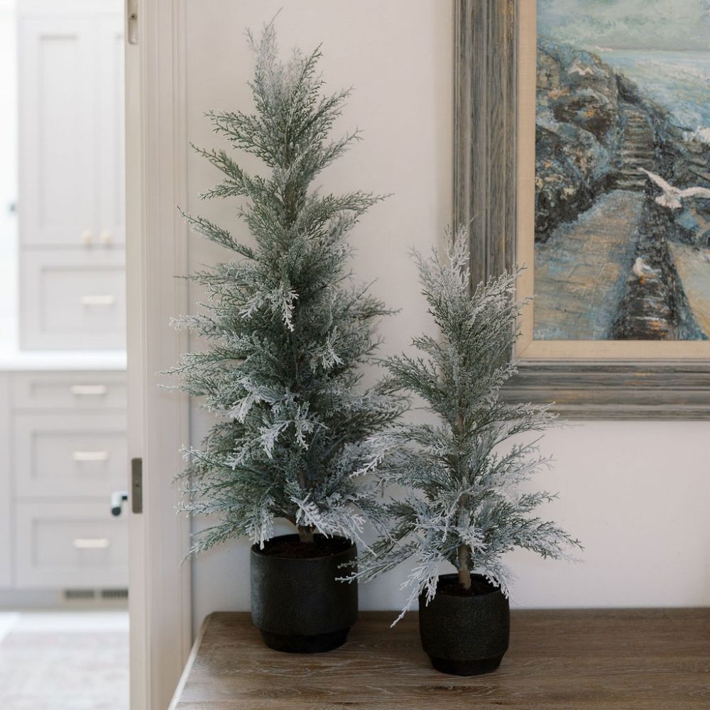 Elegant display of CG Hunter 2' Flocked Cedar Tree with a snowy finish, showcased alongside a smaller flocked tree, perfect for adding luxury to holiday decor.