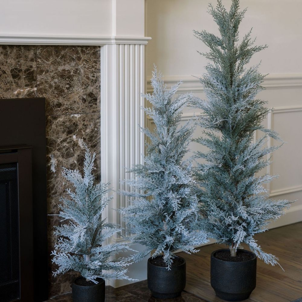 4' Cedar Tree