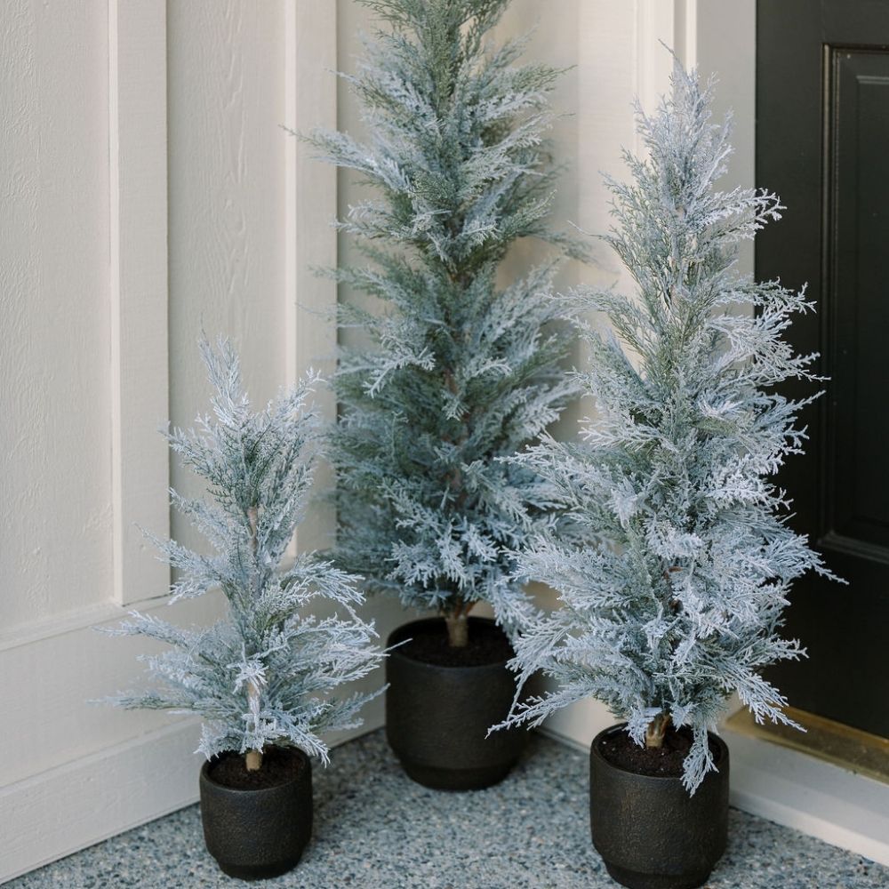 3' Flocked Cedar Tree