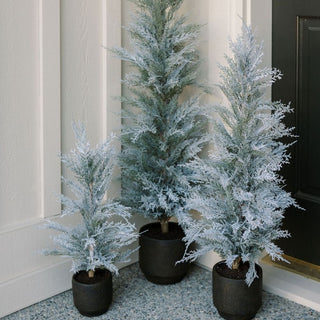 3' Flocked Cedar Tree