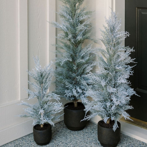 3' Flocked Cedar Tree