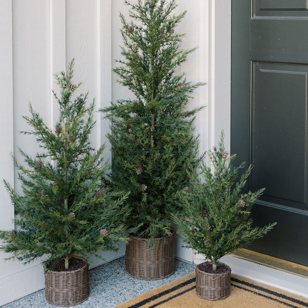 3' Pine Tree