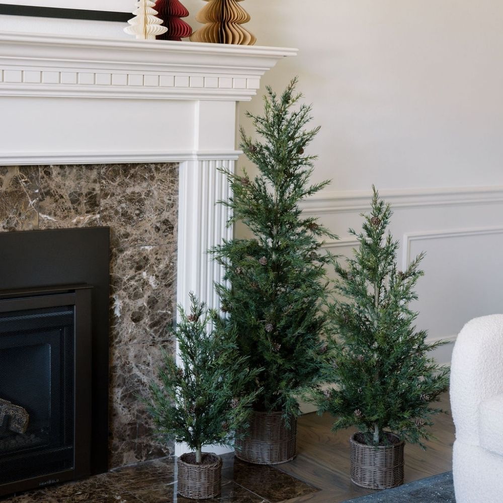 3' Pine Tree