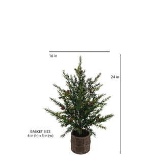 2' Pine Tree