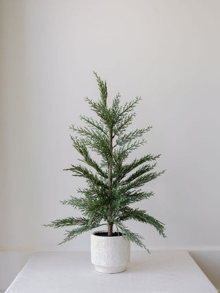 Luxurious 24" / 2’ Artificial Evergreen Cedar Tree in a cream pot by CG Hunter, showcasing vibrant green foliage against a minimalist white background.