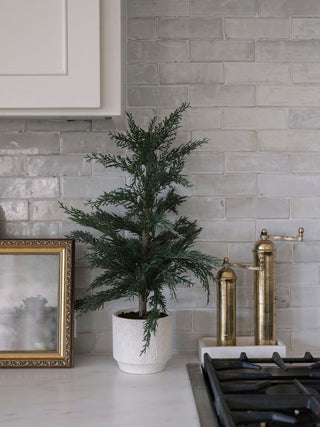 Stylish 24" Artificial Evergreen Cedar Tree by CG Hunter displayed in a modern kitchen setting, adding a fresh, natural vibe.