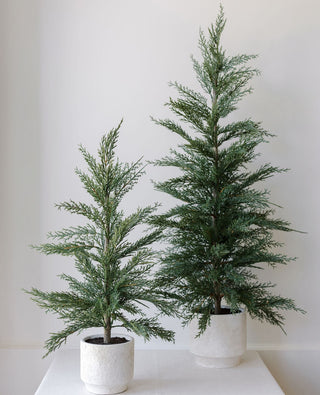 Elegant set of two 24" Artificial Evergreen Cedar Trees by CG Hunter in cream pots, showcasing lush greenery for home decor.