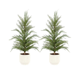 2' Faux Cedar Tree, Set of 2