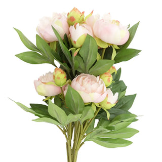 The Blush Composition