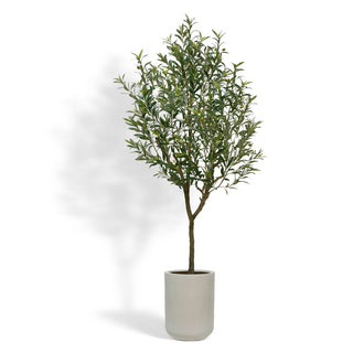 CG Hunter Artificial 7' Olive Tree elegantly displayed in a minimalist white planter, showcasing lifelike leaves and adding a touch of Mediterranean charm to any luxury setting.