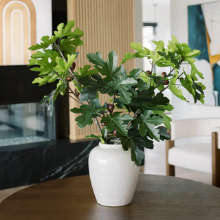 Potted plant on a table in a modern living room