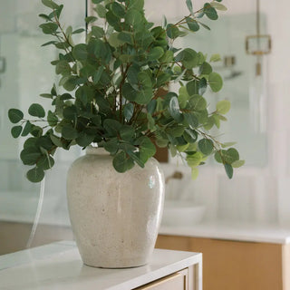 Potted plant in a textured ceramic vase on a surface with a blurred background