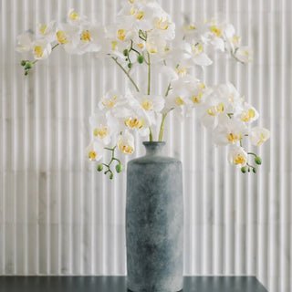 White orchids in a gray vase against a neutral background