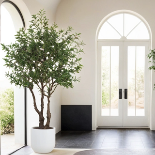 Stunning entryway adorned with the CG Hunter 7.5' Faux Potted Olive Tree, providing a sophisticated touch to the modern decor.