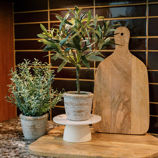 12" Rosemary & 16" Olive Topiary Set by CG Hunter displayed in a kitchen setting, showcasing the elegant faux topiary set for an inviting houseplant and spring faux centerpiece on a tabletop.