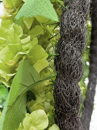 Close-up of green leaves and a textured brown vine