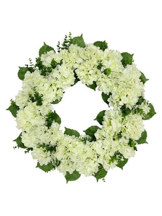 Floral wreath made of white flowers and green leaves on a white background