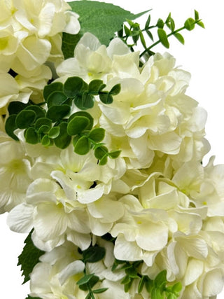 Close-up of white flowers with green leaves on a white background