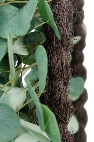 Close-up of eucalyptus leaves and braided twine on a white background