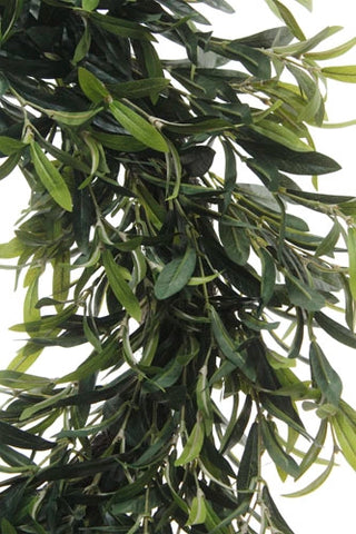 Close-up of a green leafy branch on a white background
