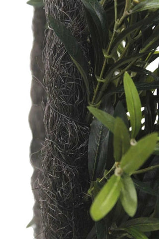 Close-up of a bird's nest in a tree with green leaves.