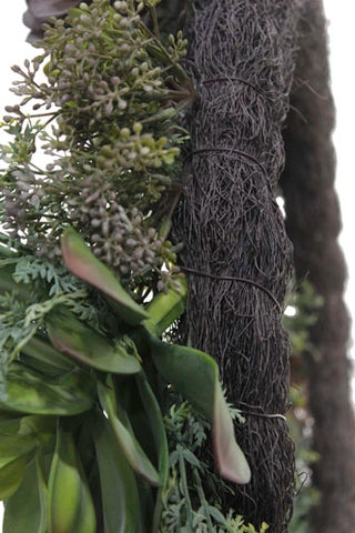 Close-up of a plant with textured bark and green leaves.
