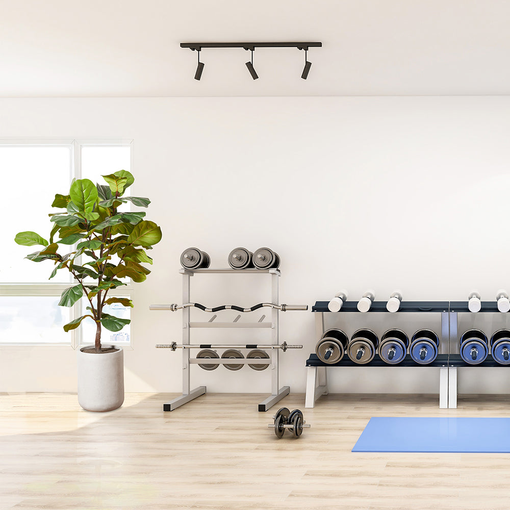 CGHunter Commercial Faux Fiddle Leaf Fig Tree used in Commercial Fitness Center and Spa