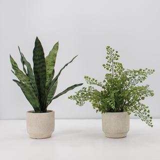Luxurious 16" faux snake plant and fern set by CG Hunter, featuring lifelike greenery in elegant cream pots against a minimalist background.