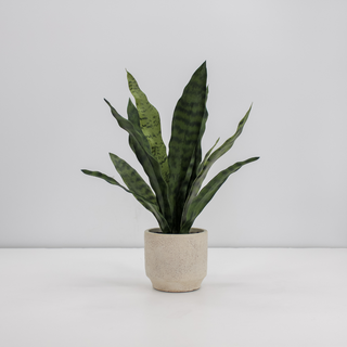 Elegant 16" faux snake plant by CG Hunter in a cream pot, highlighting its striking variegated leaves against a simple backdrop.