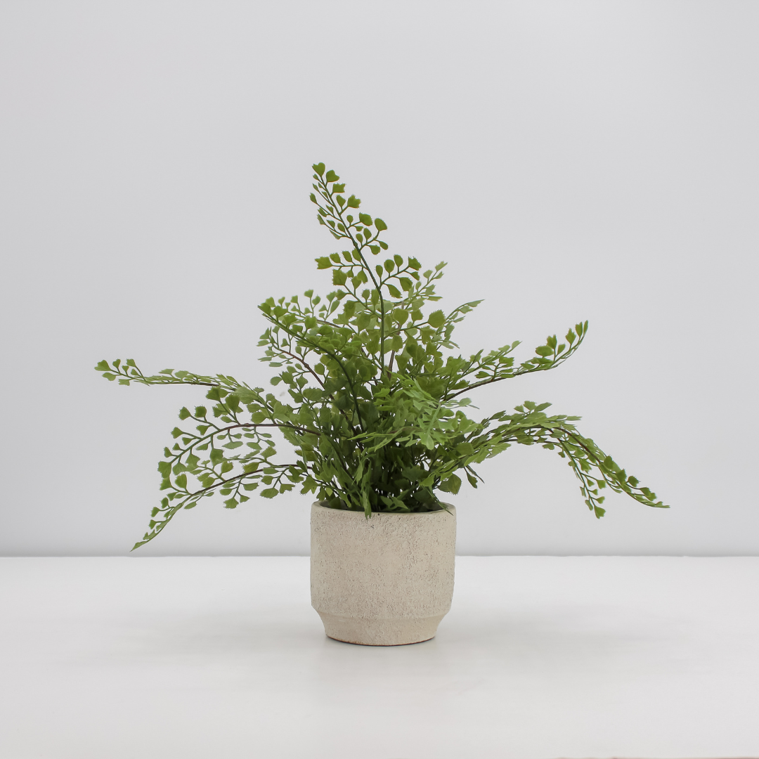 cg hunter snake plant 16" Faux Snake Plant & Fern Set