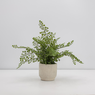 Chic 16" faux fern by CG Hunter in a textured cream pot, showcasing vibrant green foliage for a touch of luxury in home decor.