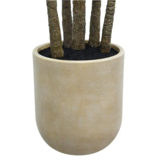 Beige planter with a plant on a white background