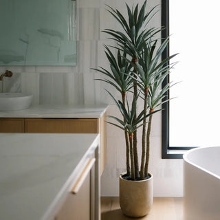 Potted plant in a modern bathroom setting