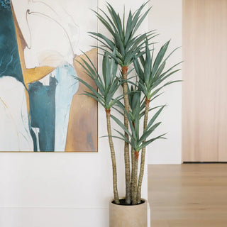 Potted plant in a room with abstract art on the wall