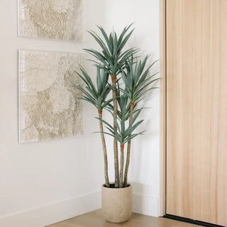 Potted plant in a room with abstract wall art and a sliding door.