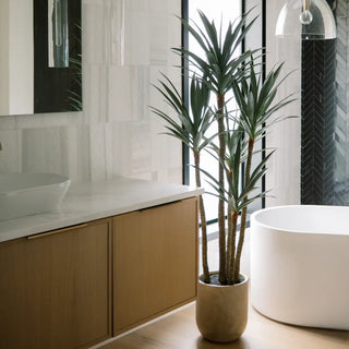 Bathroom interior with a plant, sink, and bathtub.