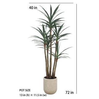 Potted plant with dimensions indicated on a white background