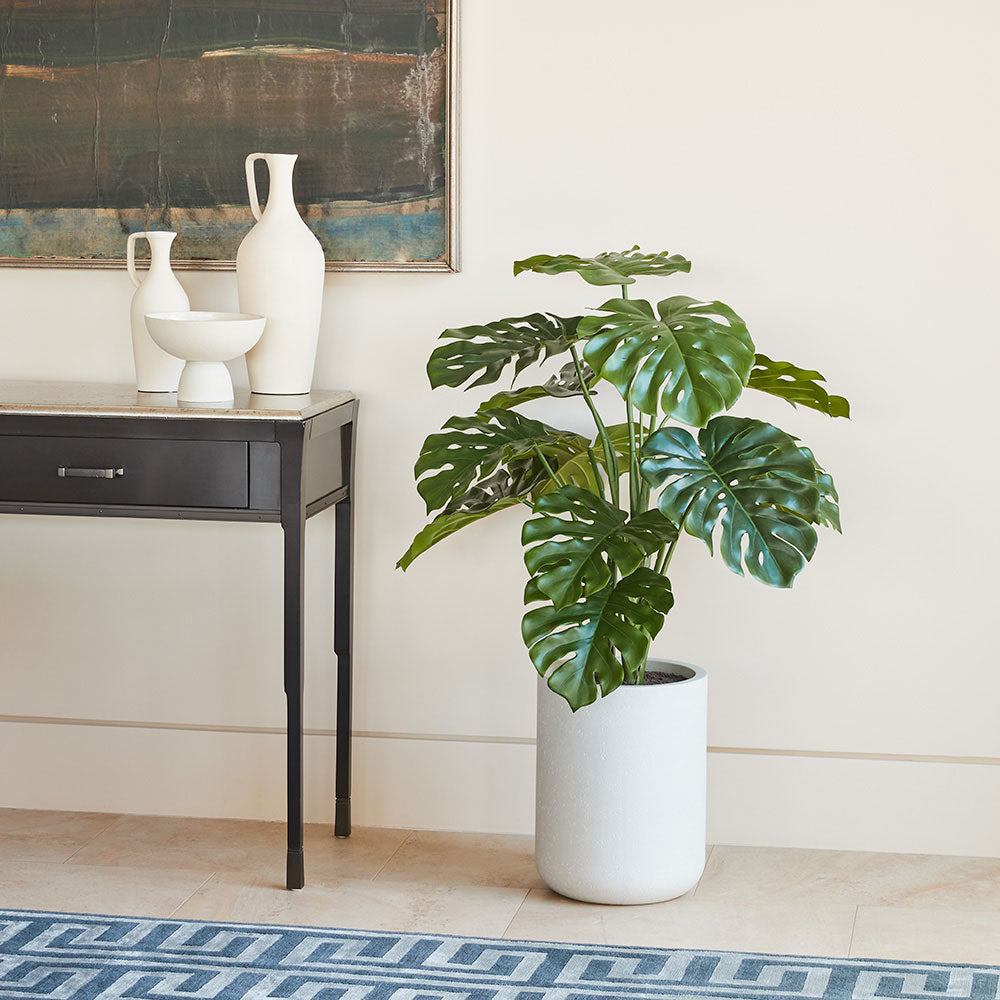 4' Monstera Plant in Modern Gray Planter