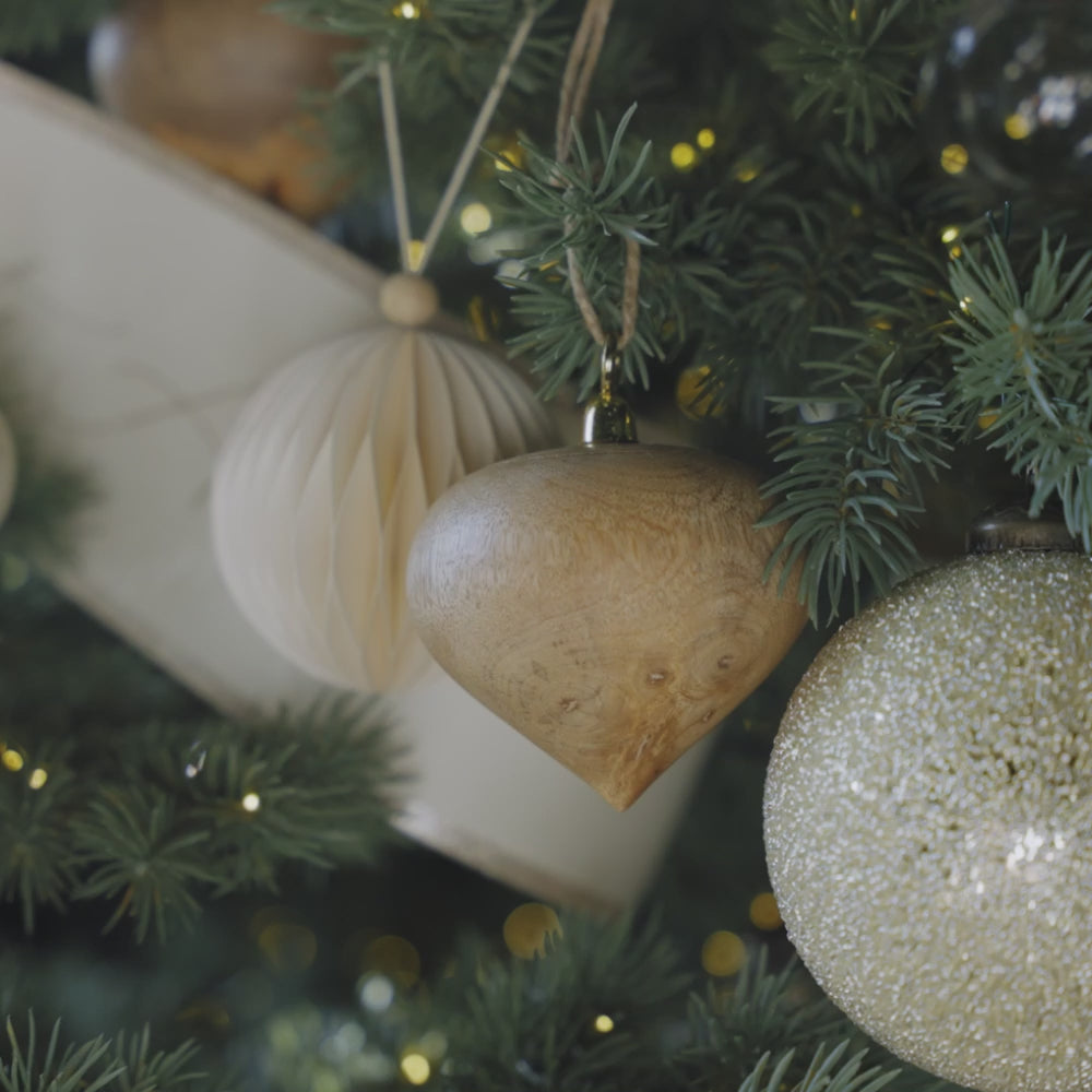 Mango Ornament Video Midnight Star