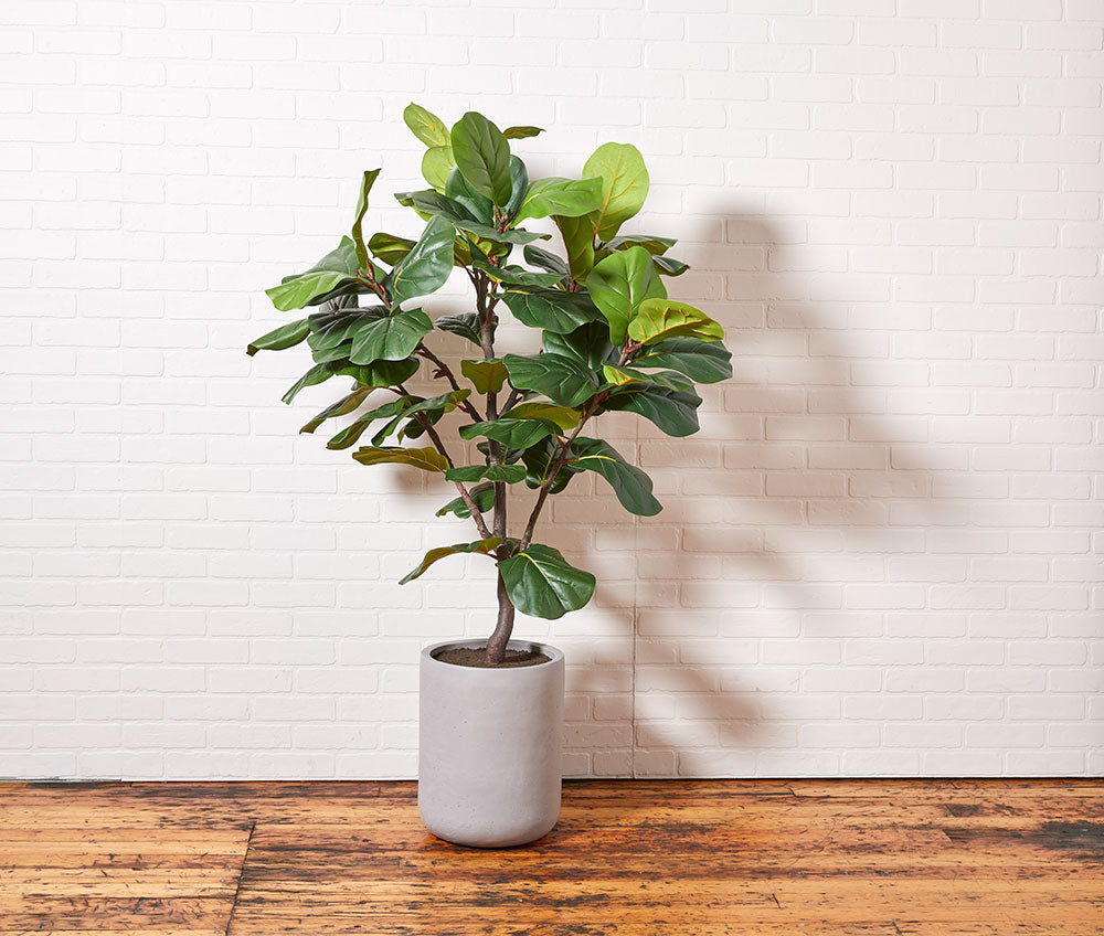 basket for fiddle leaf fig tree Faux Fiddle Leaf Fig Tree, 5 ft